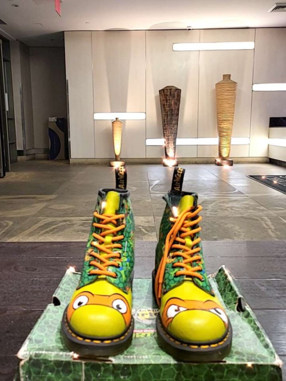 Limited Edition Unisex Ninja Turtles Dr. Martins